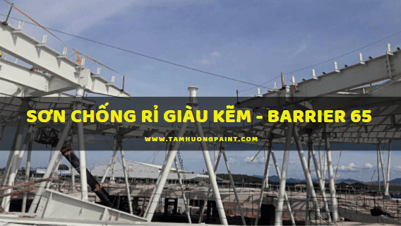 Son-chong-ri-giau-kem-barrier65