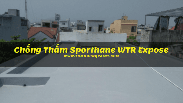 chong-tham-sporthane-wtr-expose-KCC.png