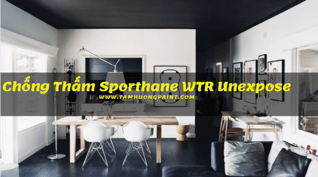 chong-tham-sporthane-wtr-unexpose-KCC