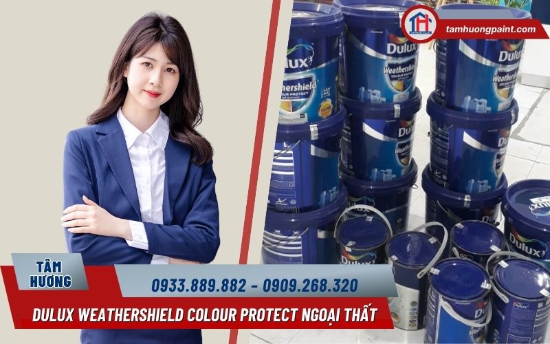 Vì sao nên mua Dulux Weathershield Colour Protect tại Sơn Tâm Hương?