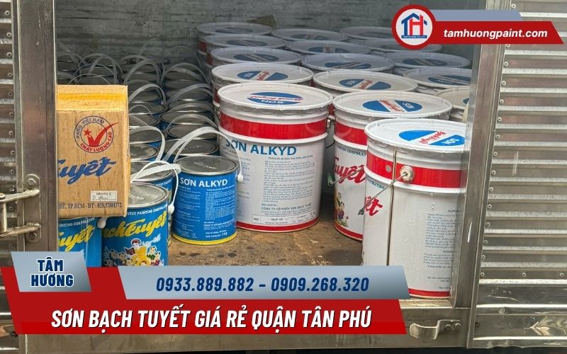 Sử dụng và bảo quản sơn Bạch Tuyết