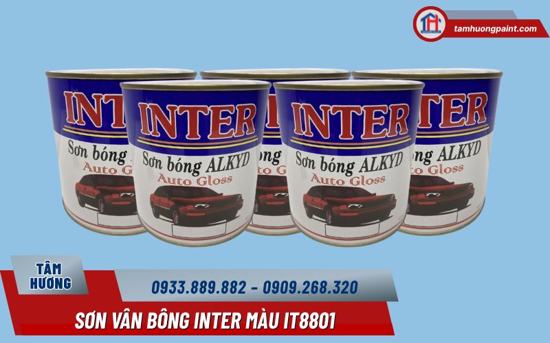 Sơn Vân Bông Inter Màu IT8801 là gì?