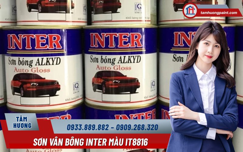 Mua Sơn Vân Bông Inter Màu IT8816 ở đâu?