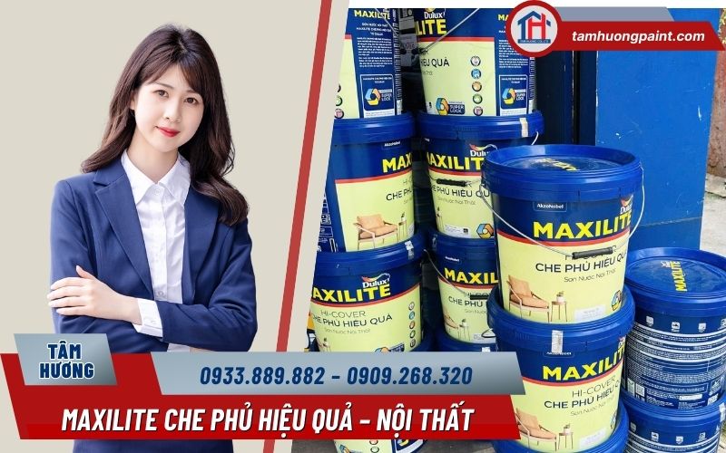 Giá sơn Maxilite trong nhà 18L
